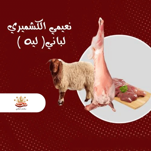 النعيمي الكشميري لباني